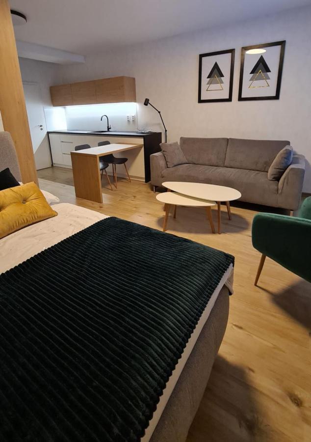 Apartman Hestia 5 Rajecké Teplice エクステリア 写真